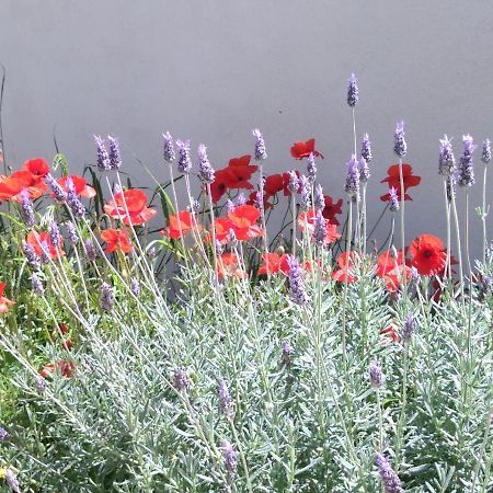 Villa Le Clos Fleuri Narbonne Dış mekan fotoğraf