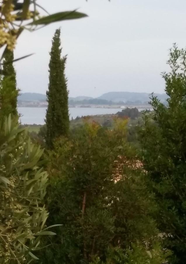Villa Le Clos Fleuri Narbonne Dış mekan fotoğraf