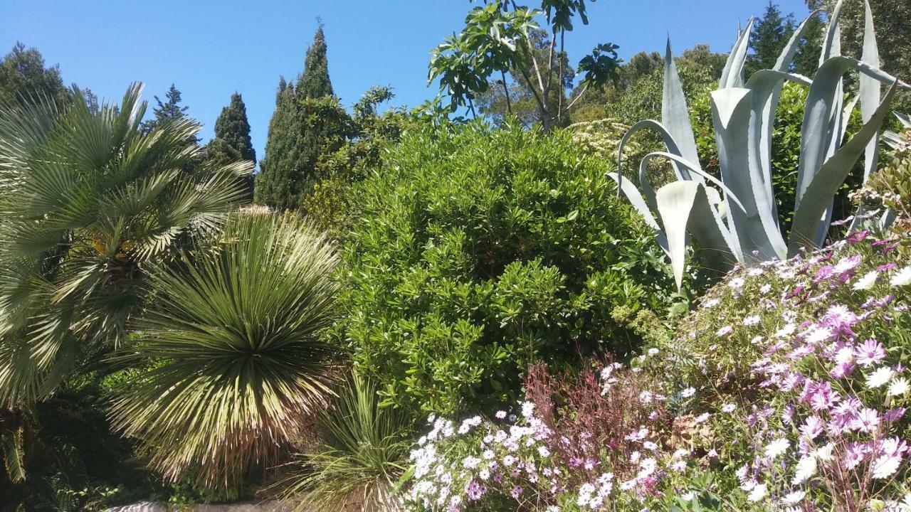 Villa Le Clos Fleuri Narbonne Dış mekan fotoğraf
