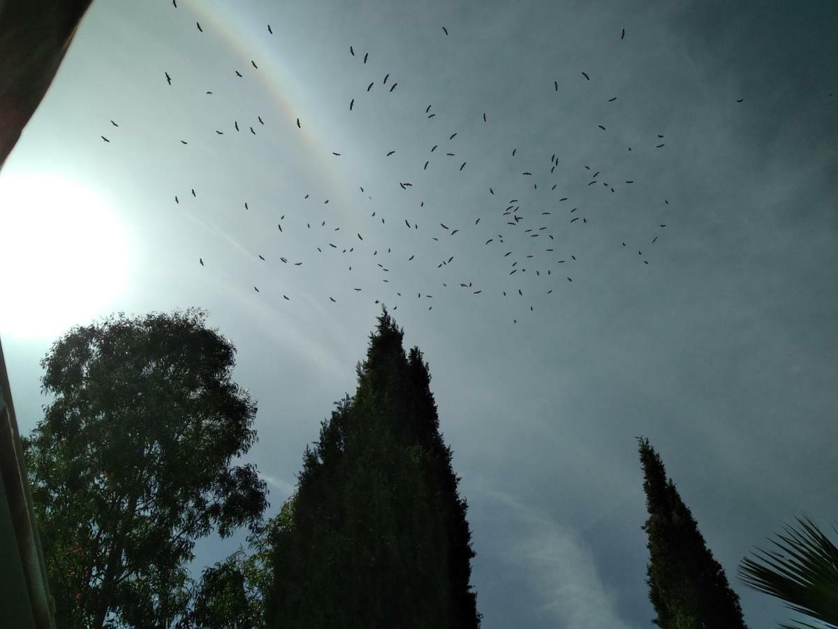 Villa Le Clos Fleuri Narbonne Dış mekan fotoğraf